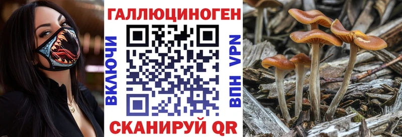 Галлюциногенные грибы MAGIC MUSHROOMS Печоры