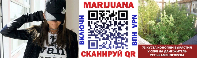 Бошки марихуана план МЕГА tor Печоры магазин продажи наркотиков